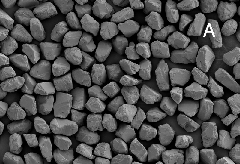 SCMD-A SEM micrograph