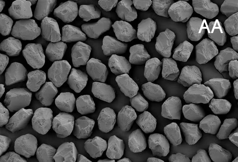 SCMD-AA SEM micrograph