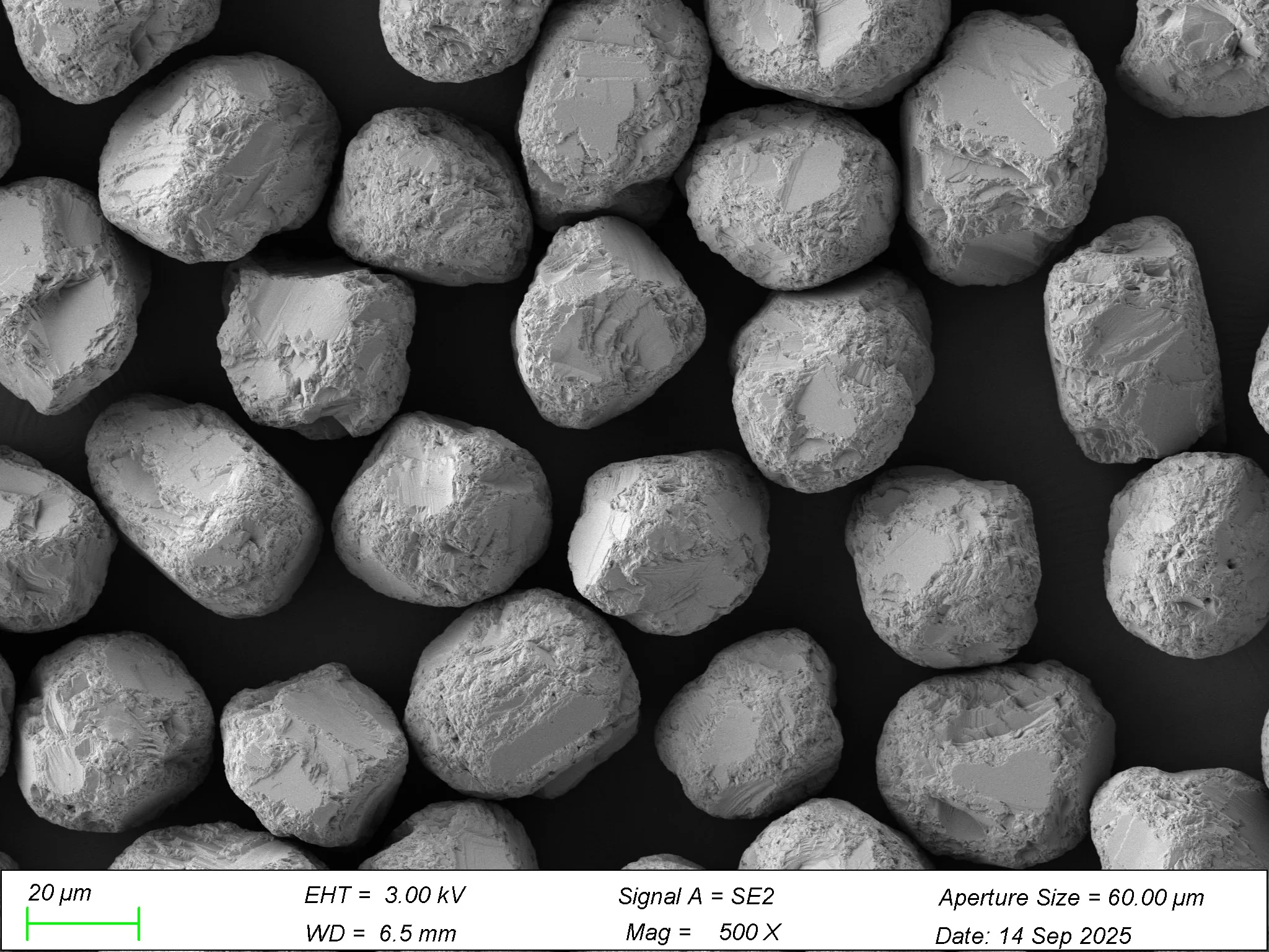 SCMD-AAA SEM micrograph