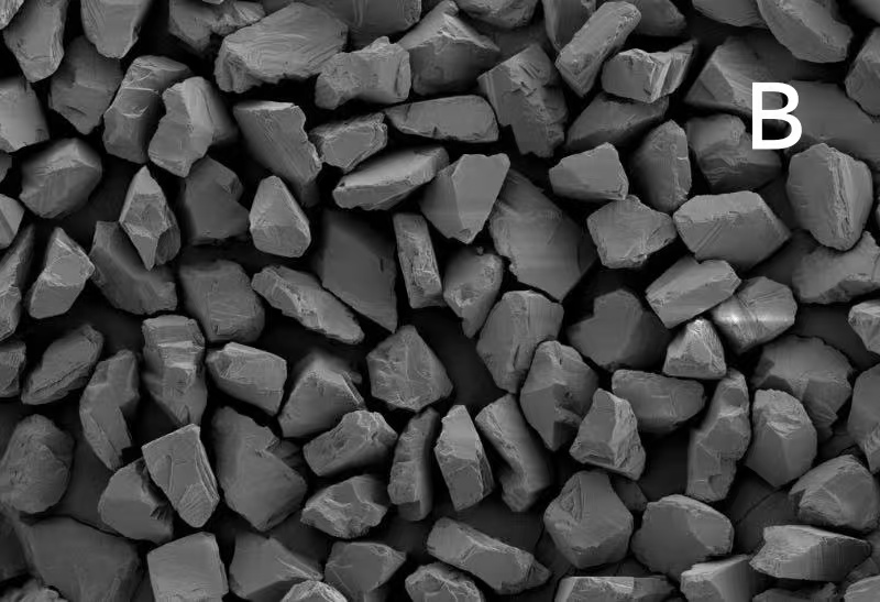 SCMD-B SEM micrograph